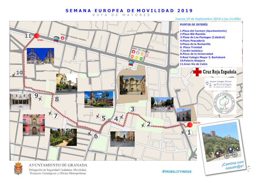  Granada SEM 2019