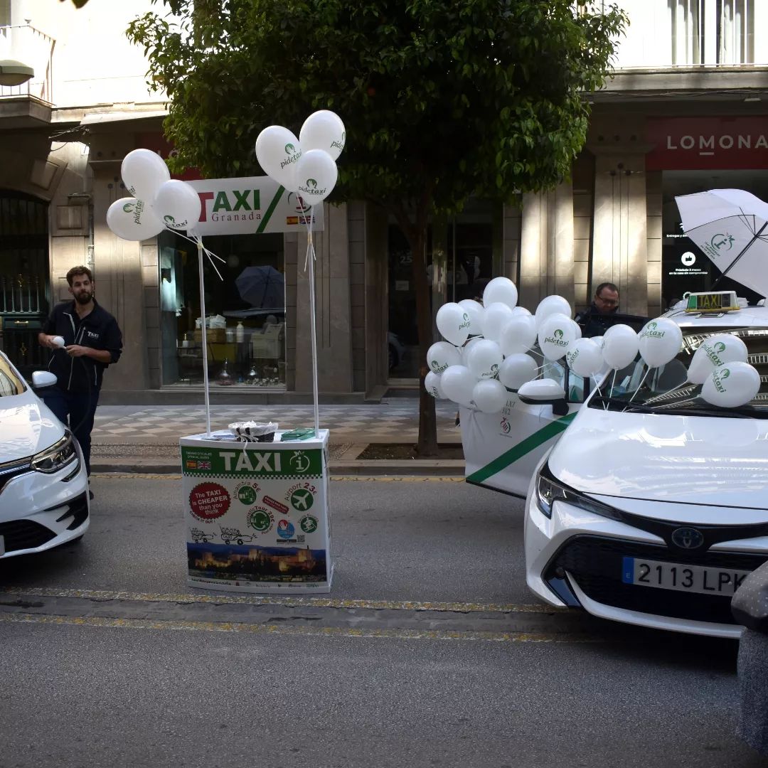 dia sin coche recogidas 2022 actividades