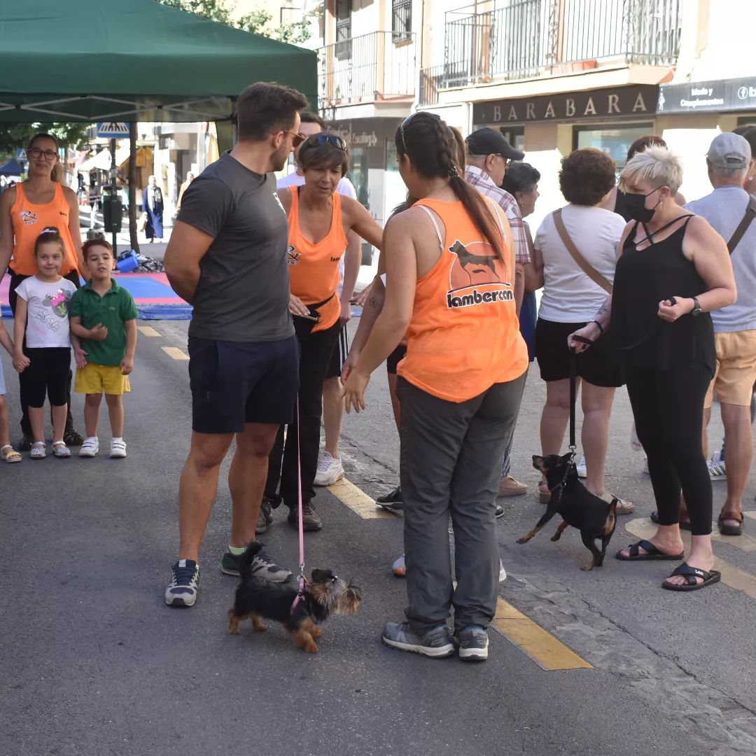 dia sin coche sagrada familia 2022 actividades